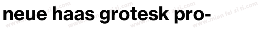 neue haas grotesk pro字体转换